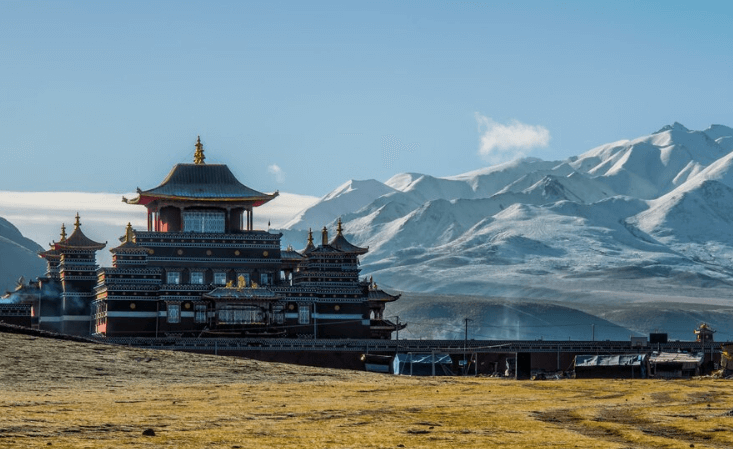 蒙古国海关数据查询平台（附免费试用查询平台）